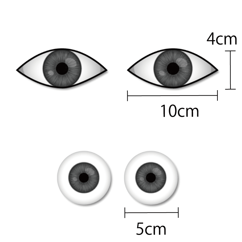 ステッカー 人気 目玉 大きい